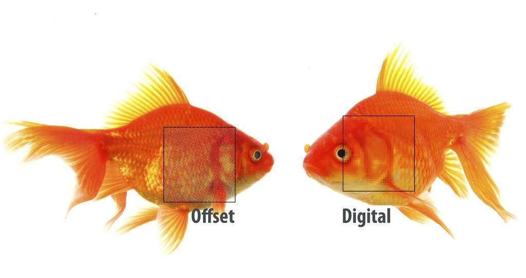 offset printing vs digital